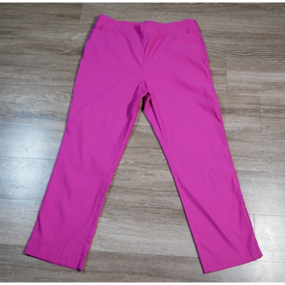 Kim Rogers Womens Magenta Pink Straight Leg‎ Pull On Pants Size 16S Short